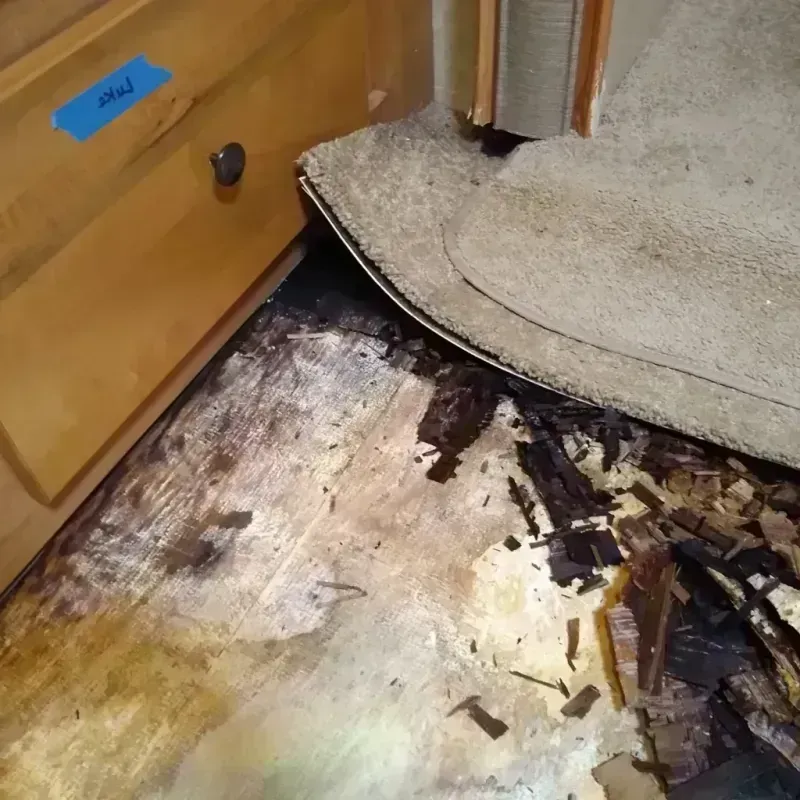 Wood Floor Water Damage in Edmonston, MD